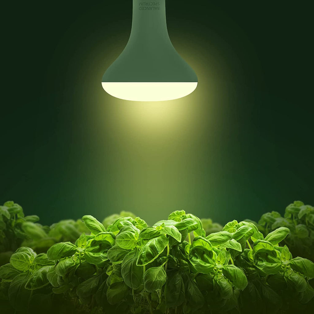 4 Pack LED Grow Light Bulb, BR30 Grow Light Bulbs, Full Spectrum Grow Light Bulb 12W, 120W Equivalent, E26 Plant Light Bulbs, Grow Light for Indoor Plants, Seedlings, Greenhouse