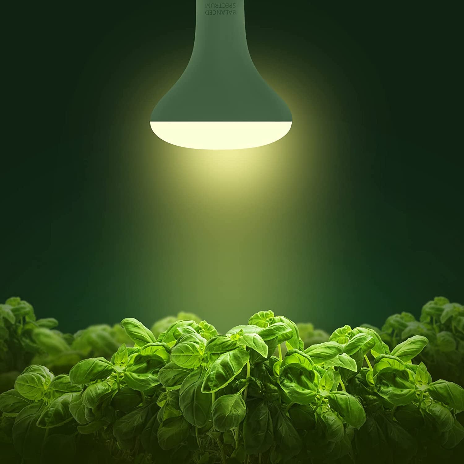 4 Pack LED Grow Light Bulb, BR30 Grow Light Bulbs, Full Spectrum Grow Light Bulb 12W, 120W Equivalent, E26 Plant Light Bulbs, Grow Light for Indoor Plants, Seedlings, Greenhouse