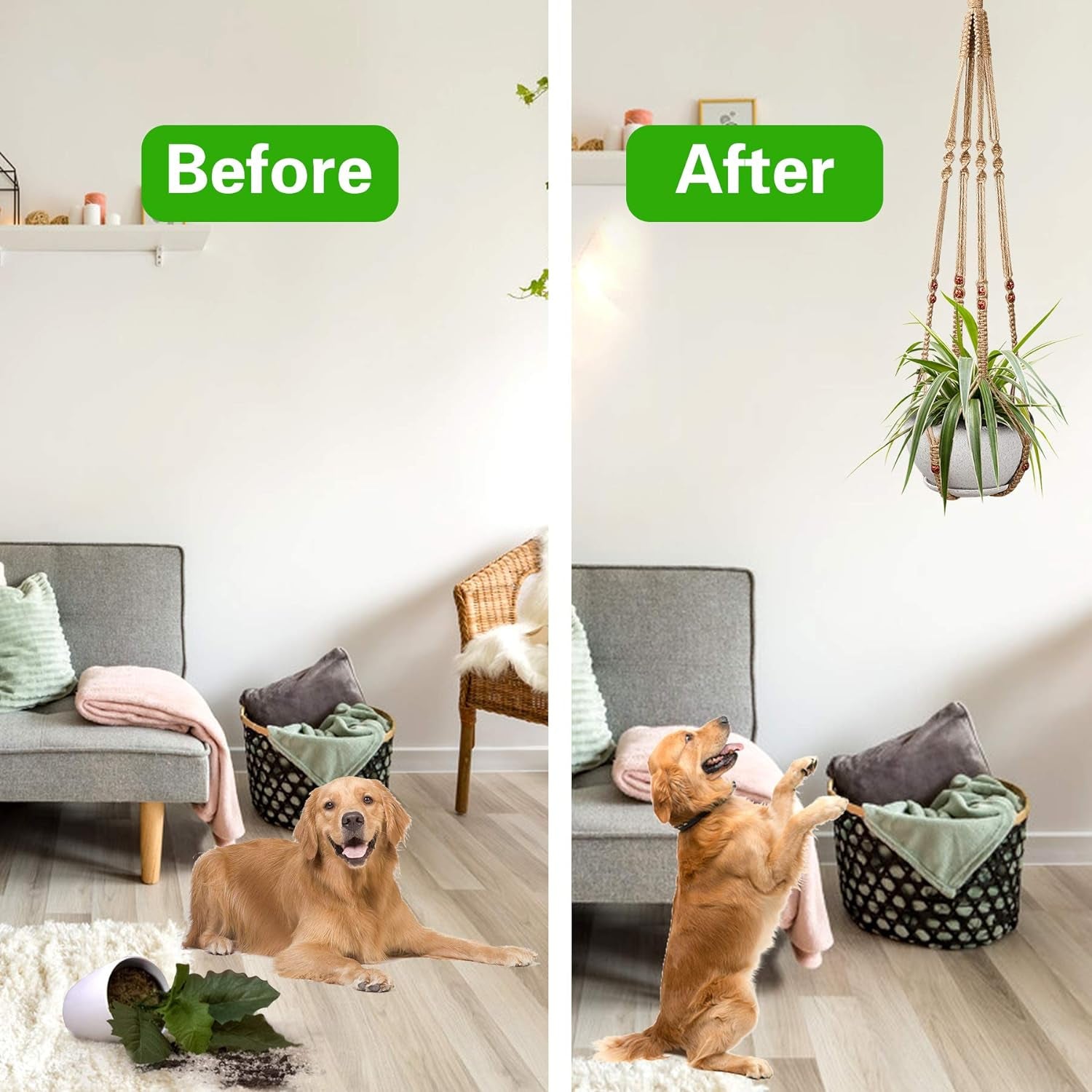 2 Pcs Plant Hangers Hanging Plant Holder for Indoor Outdoor Decor Macrame Hanging Planter Basket with 4 Hooks(35 Inch)