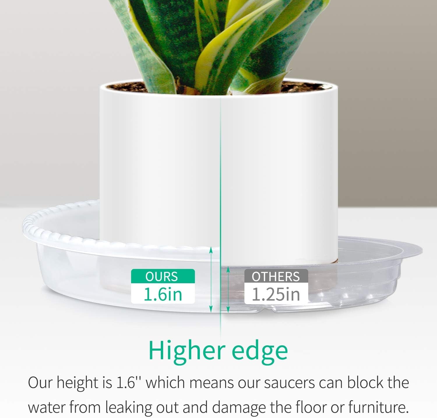 Plant Saucer, 5 Pack, 15 Inch, round Plant Trays for Indoors, Clear Plastic Plant Pot Saucers, Durable Flower Pots with 5 Plant Labels (15'' - 5 Pack)
